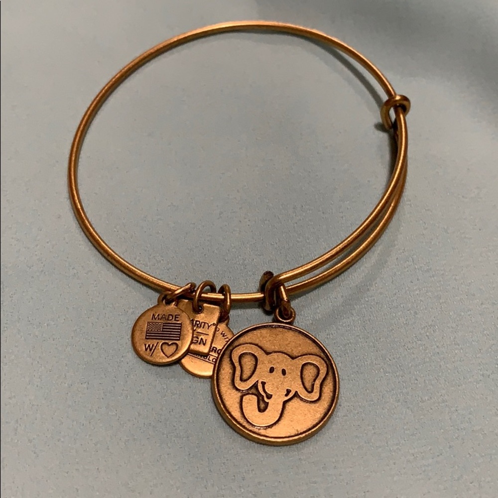 Alex and Ani bracelet